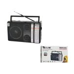 Radio Golon RX-M70BT Bluetooth FM Radio
