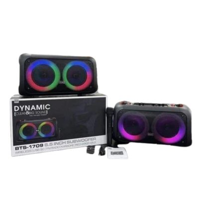 BTS-1709 Wireless Speaker