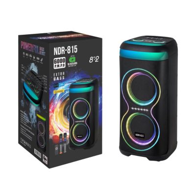 Portable Party Speaker
