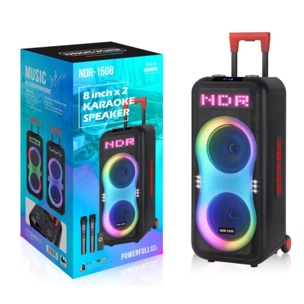 Party Speaker